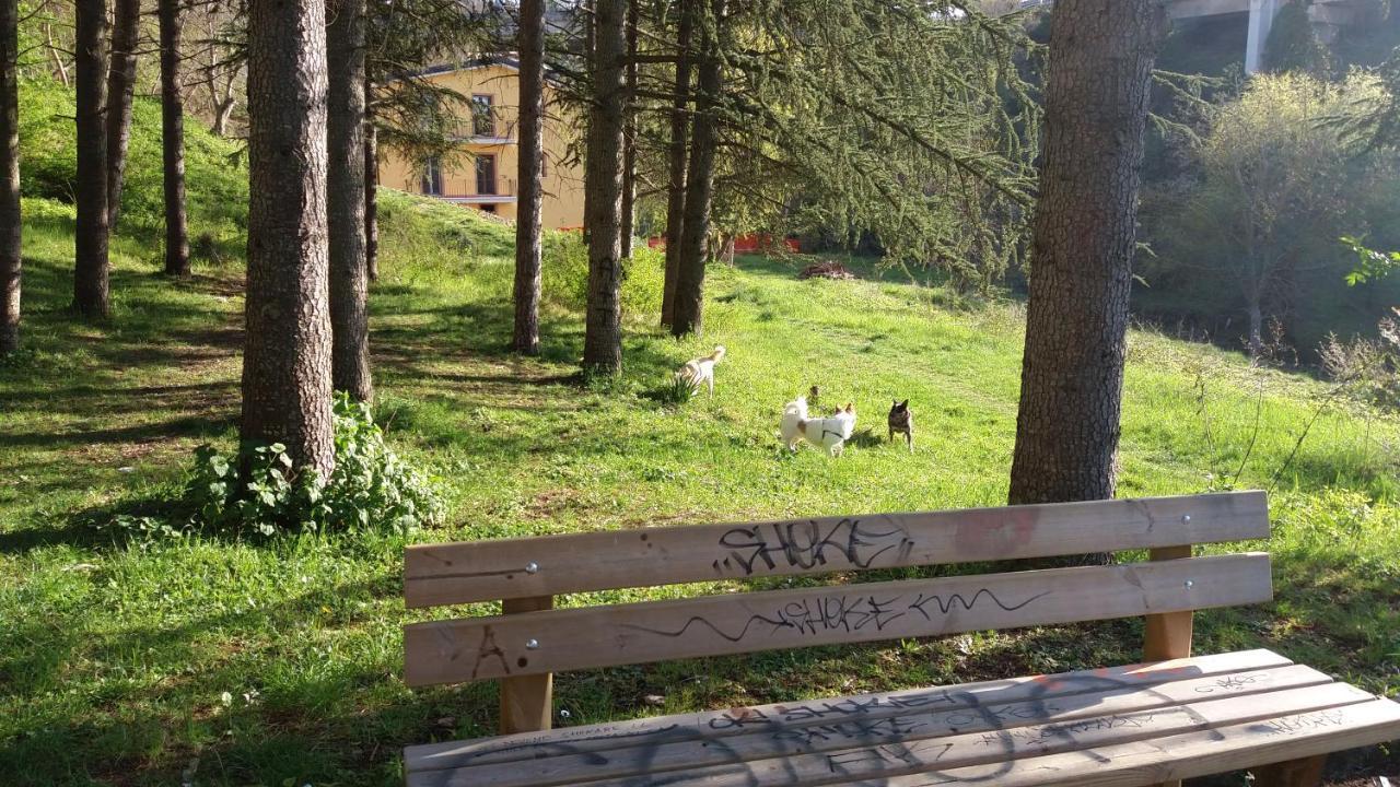 Villa Center Appartamenti Nel Verde In Citta Καμπομπάσο Εξωτερικό φωτογραφία
